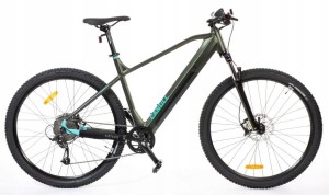Canull MAOT+ 29" HD 468 Zielony 17"