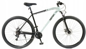 ASTACUS 29" R 21" Miętowo czarny